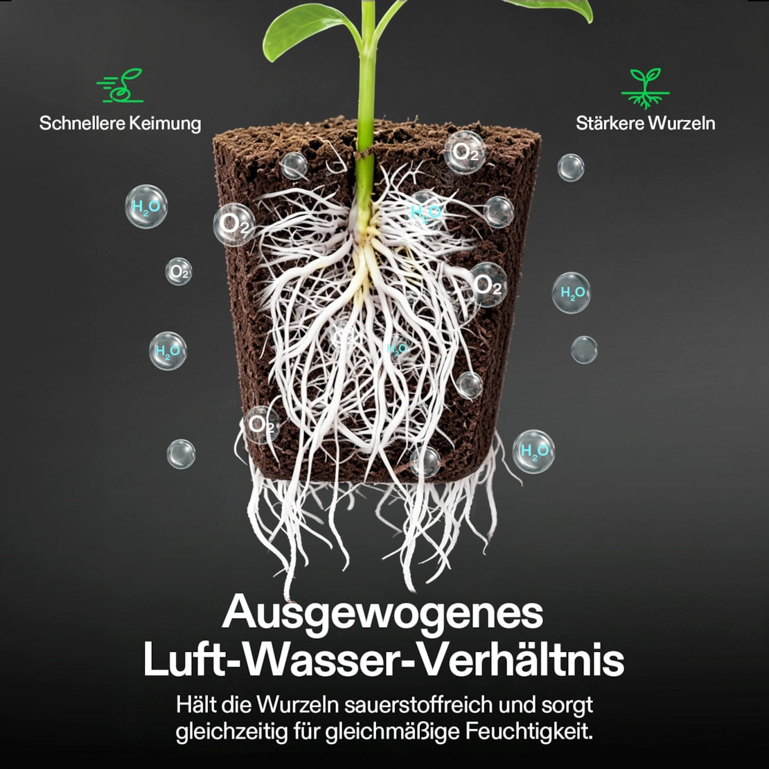 VIVOSUN Seed Rooters Anzuchtwürfel (40 Stück)