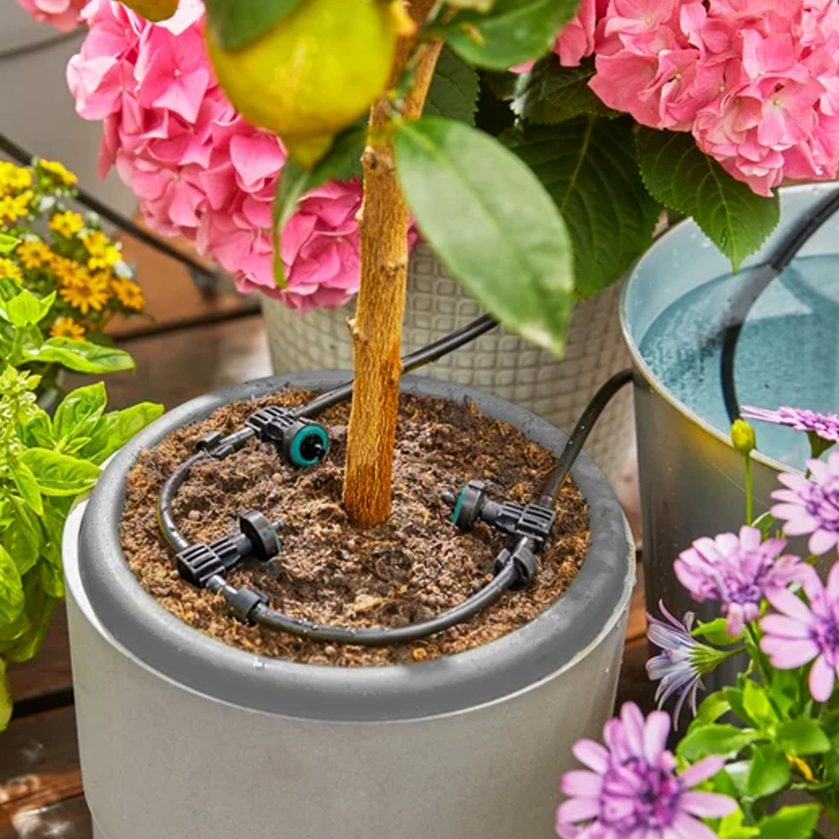 Solar-Bewaesserung-AquaBloom-Set-micro-drip