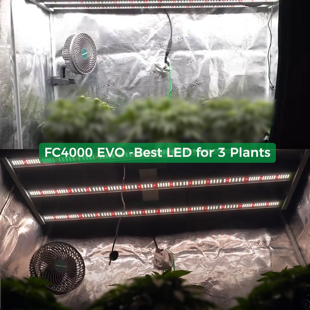 Mars Hydro FC 4000-EVO LED 320W