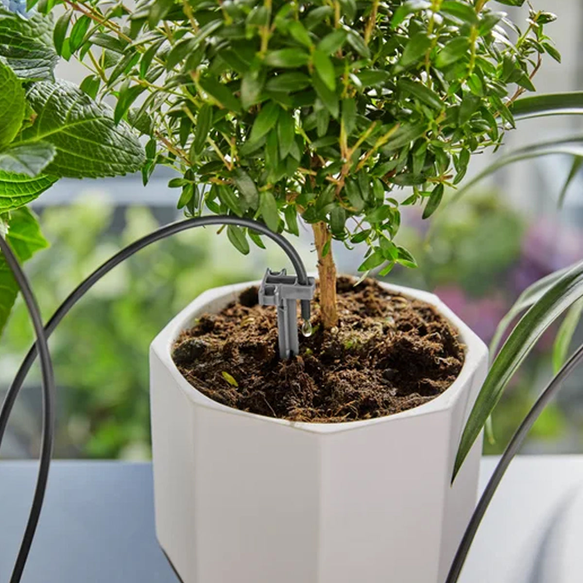 Urlaubsbewaesserung-Set-Gardena-micro-drip