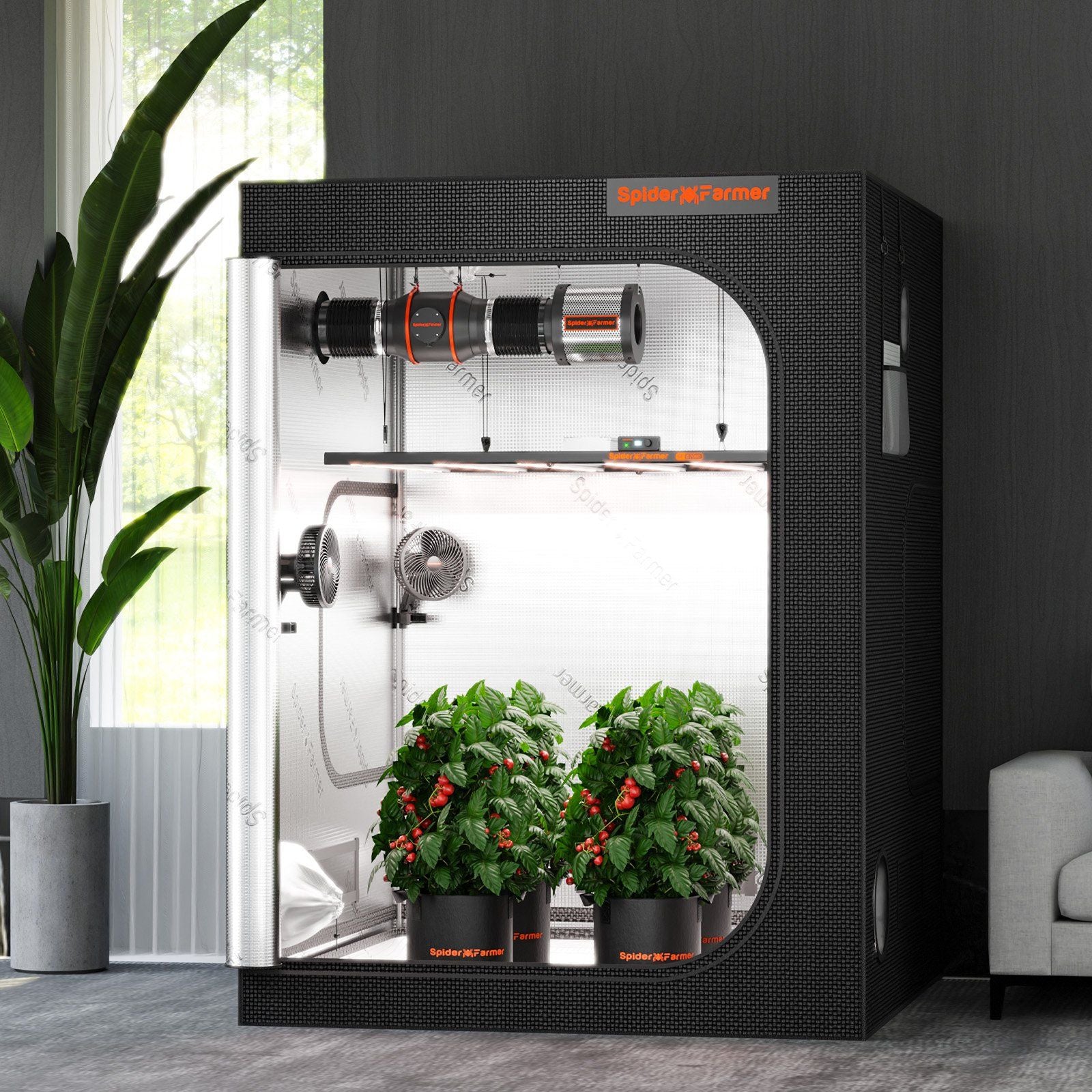 Spider Farmer Growbox 150x150x200 cm Indoor Growzelt