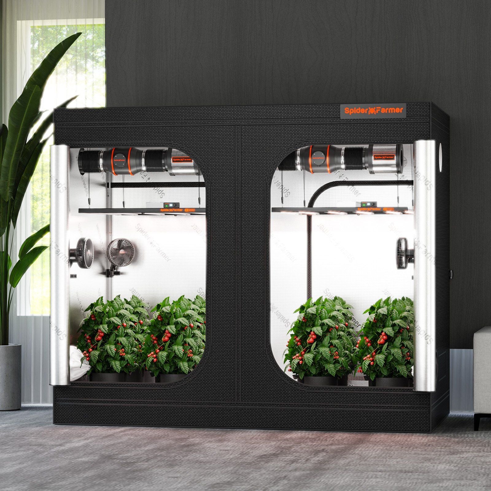 Spider Farmer Growbox 240x120x200 cm Indoor Growzelt