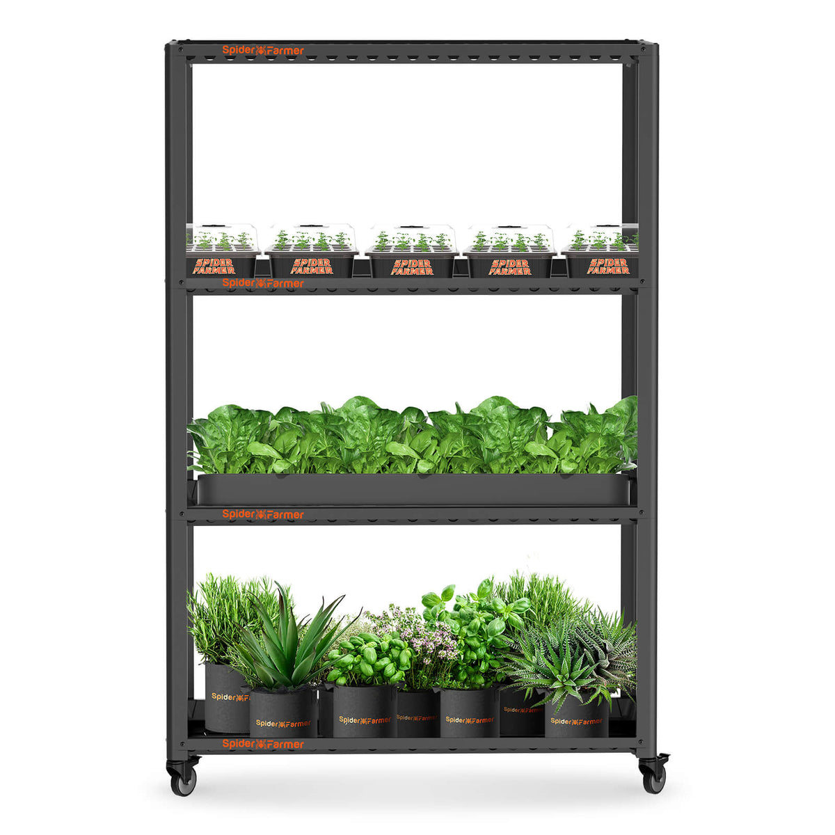Spider Farmer Anzucht/Stecklinge Pflanzenregal (118x40x180 cm)