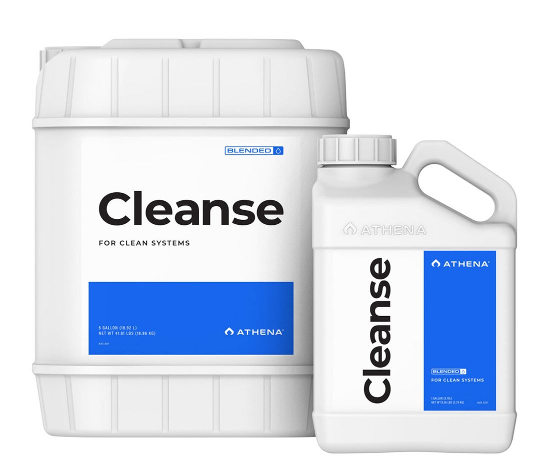 Athena Cleanse Bewässerungsreiniger 3,79L