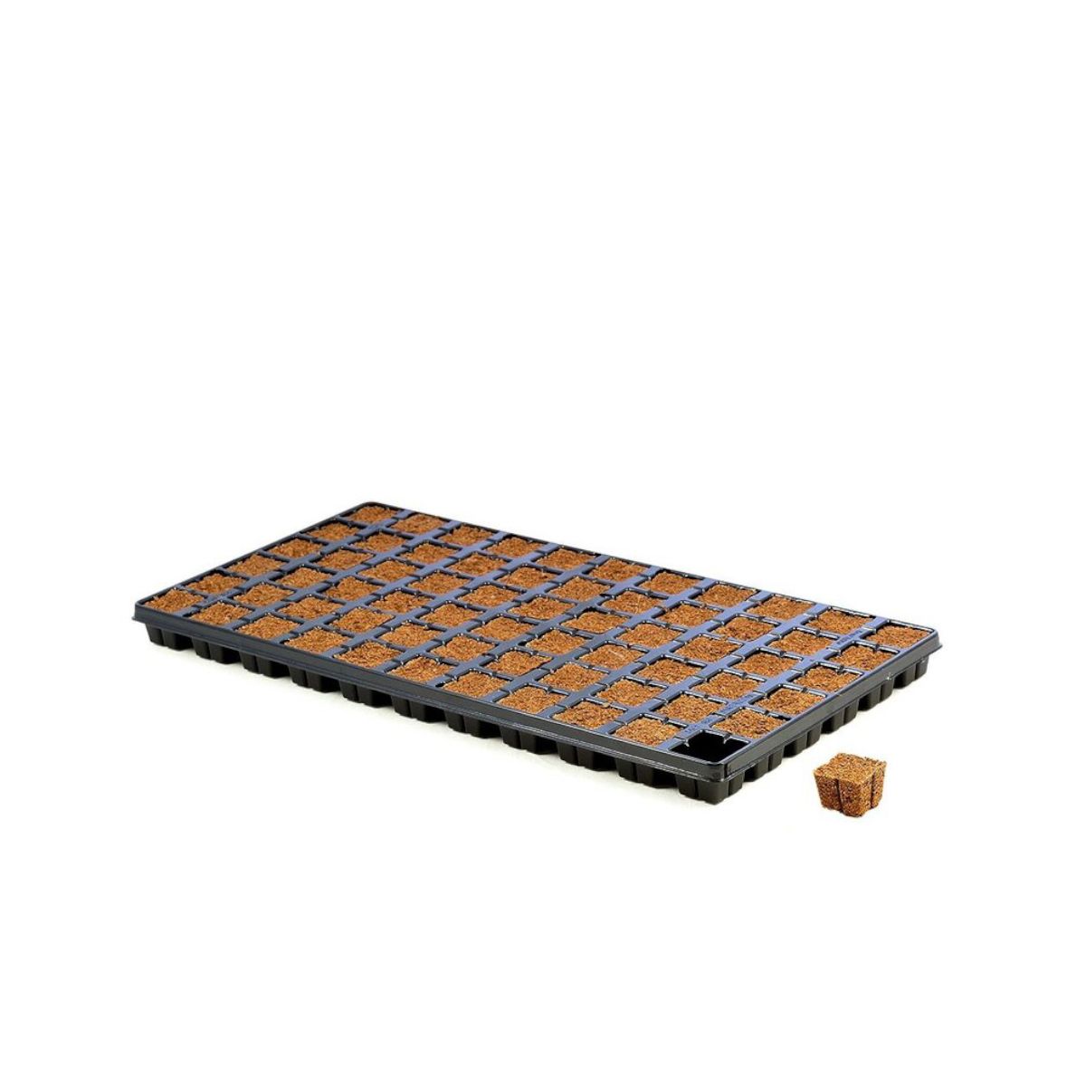 Eazy Plug Stecklingstray 66 Stück – CT66