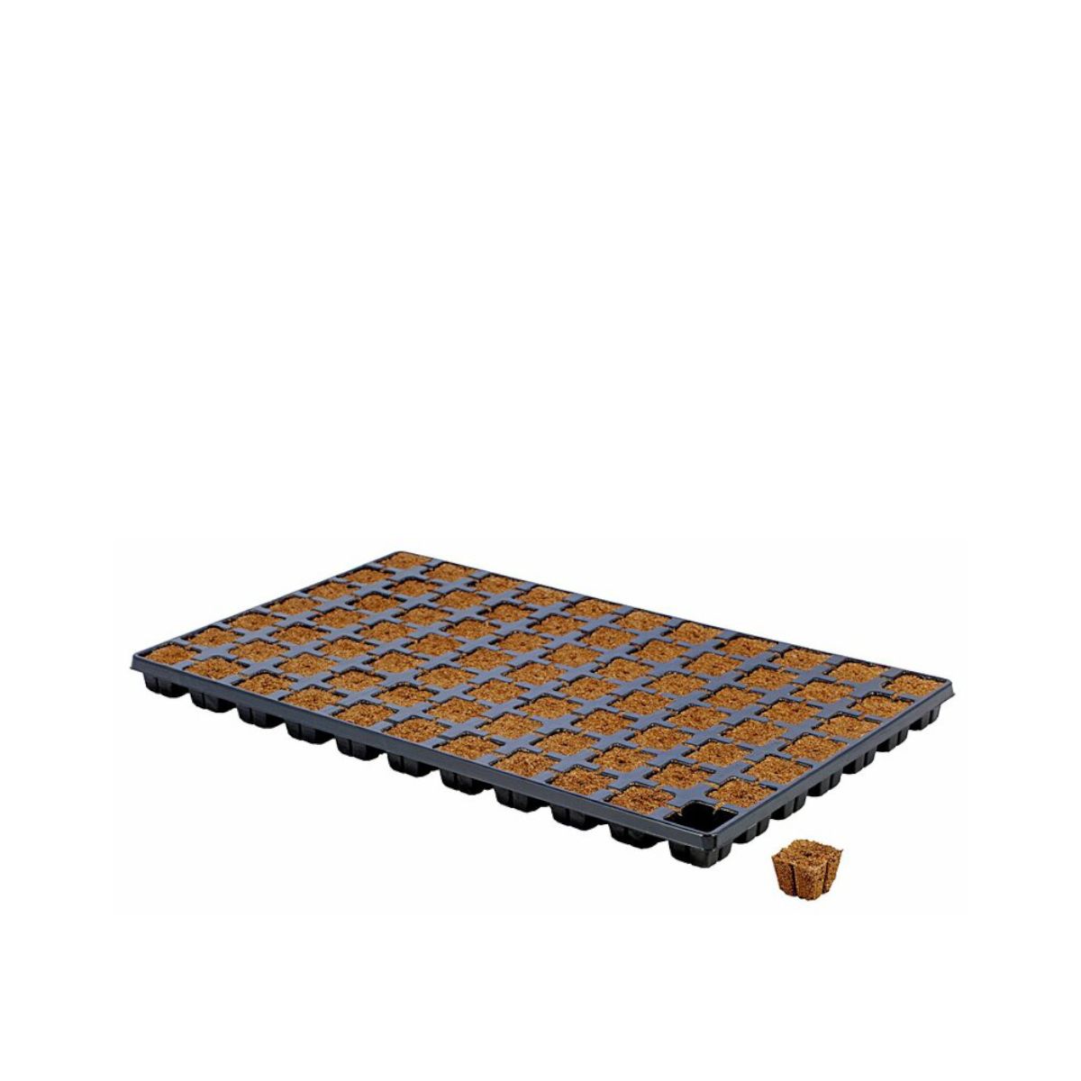 Eazy Plug Stecklingstray 77 Stück