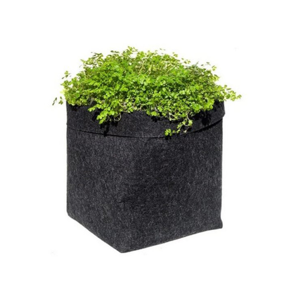 gronest-ybp-stofftopf-mit-inhalt