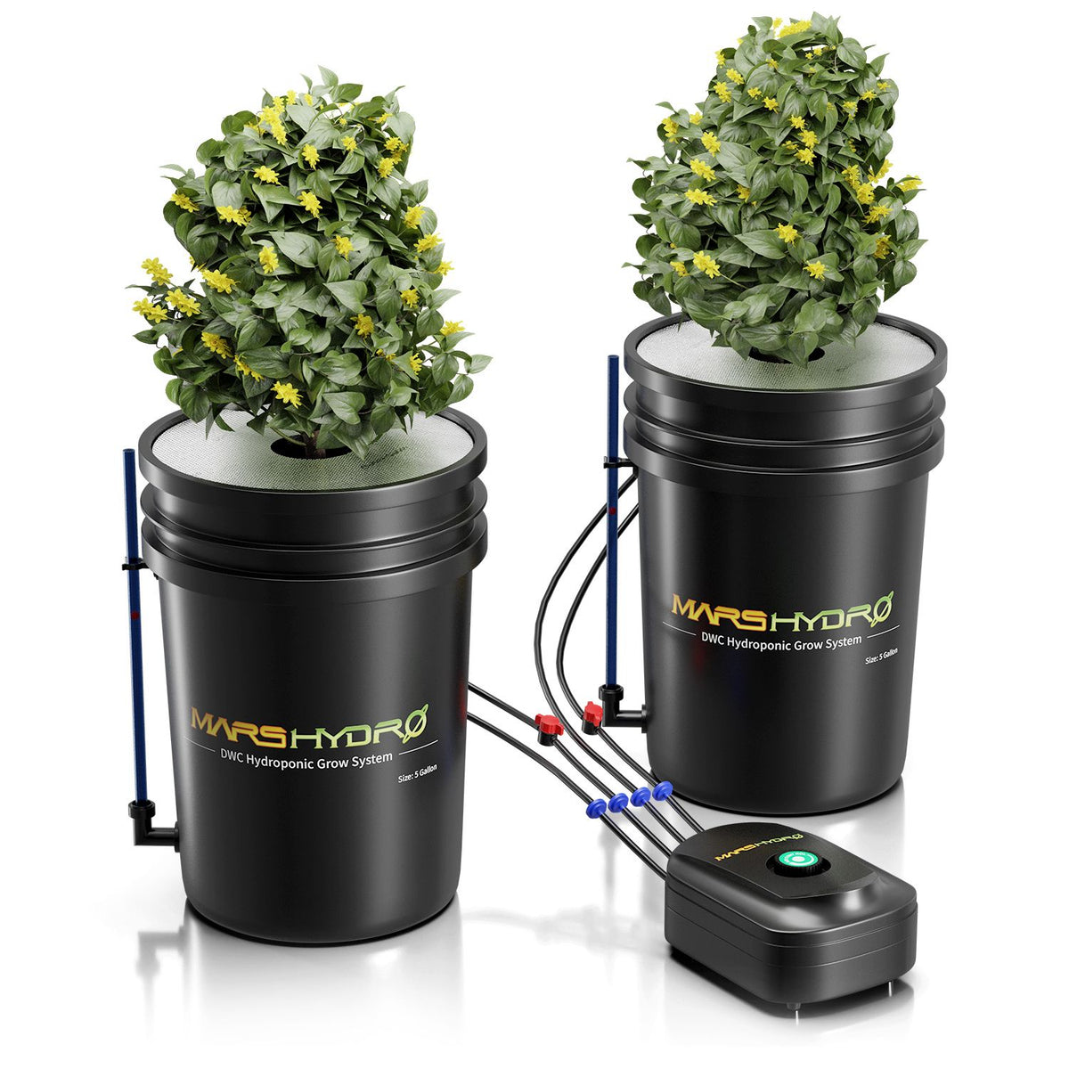 Mars Hydro DWC Hydroponik System
