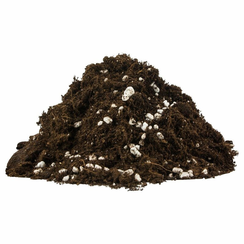 plagron-light-mix-mit-perlite