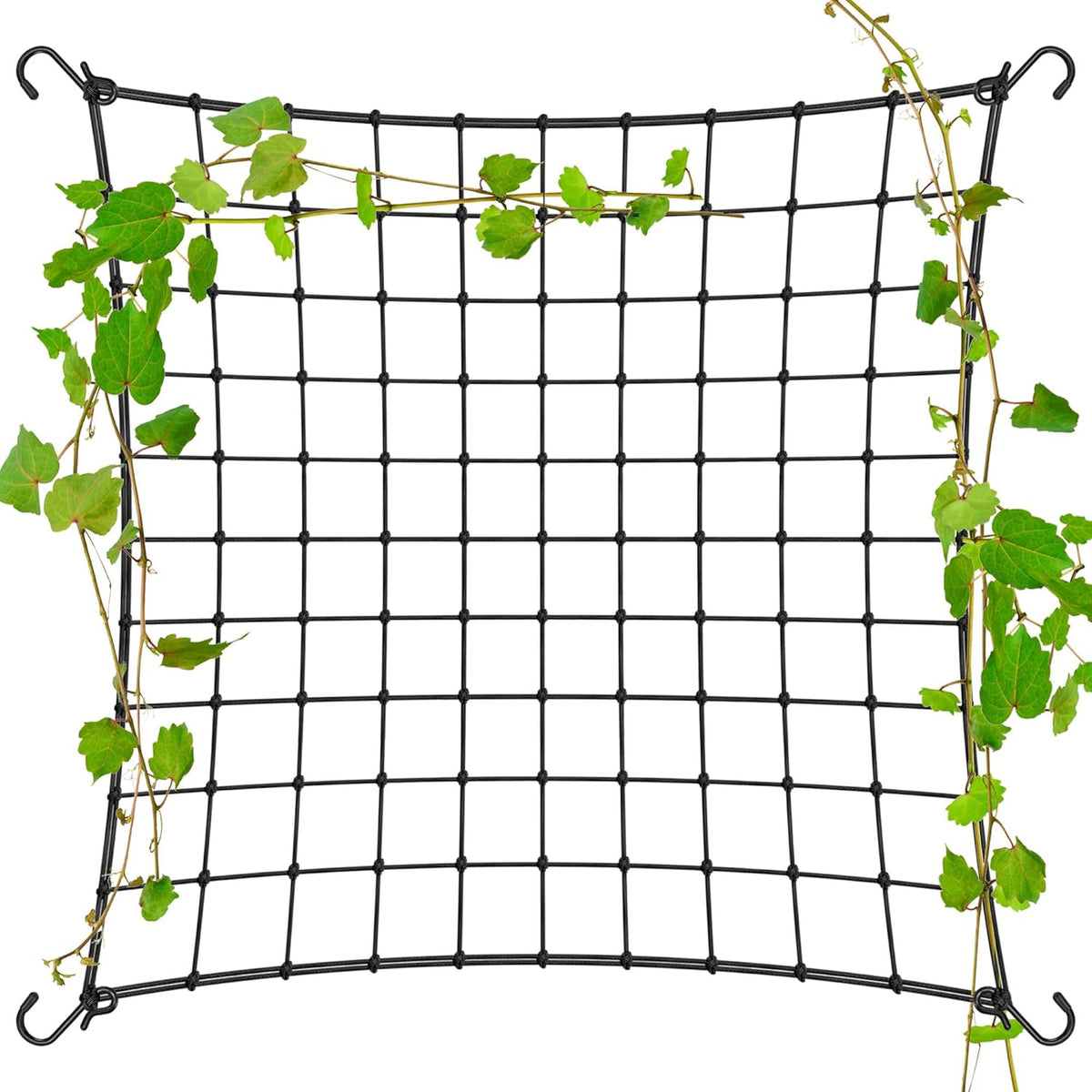 VIVOSUN Trellis Netz 150x150 cm