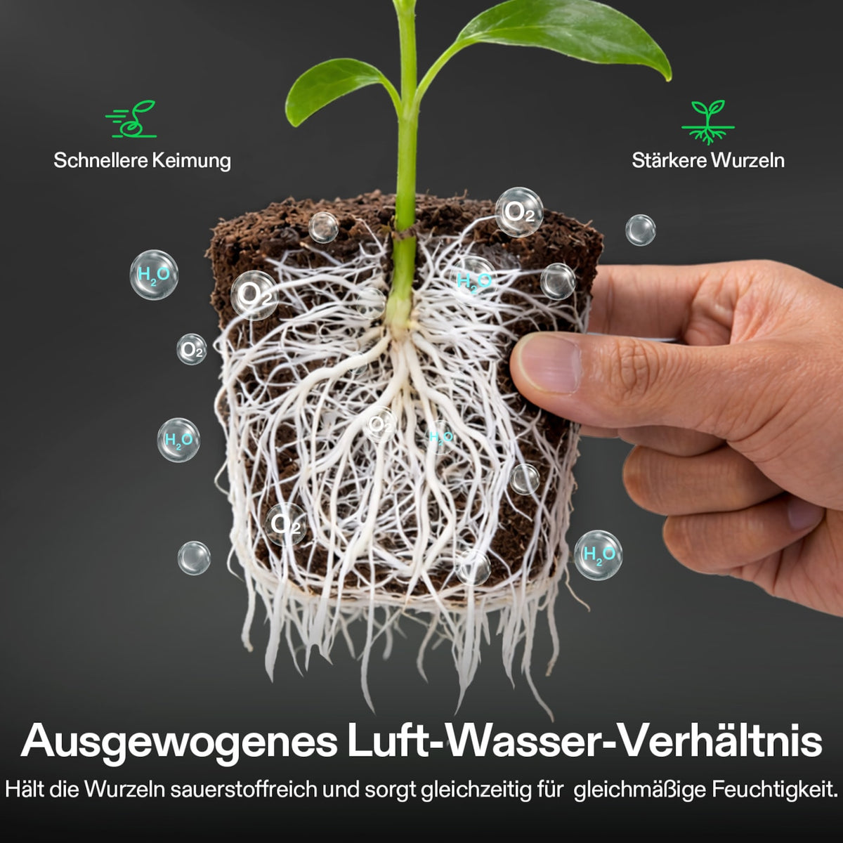 Vivosun FlexFeed DWC Seed Rooter (4 Stück)