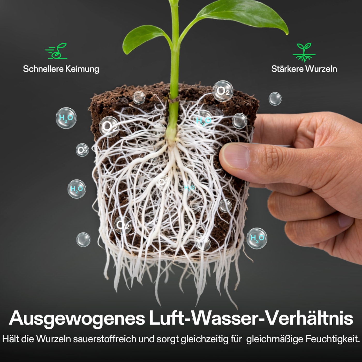 Vivosun FlexFeed DWC Seed Rooter (4 Stück)