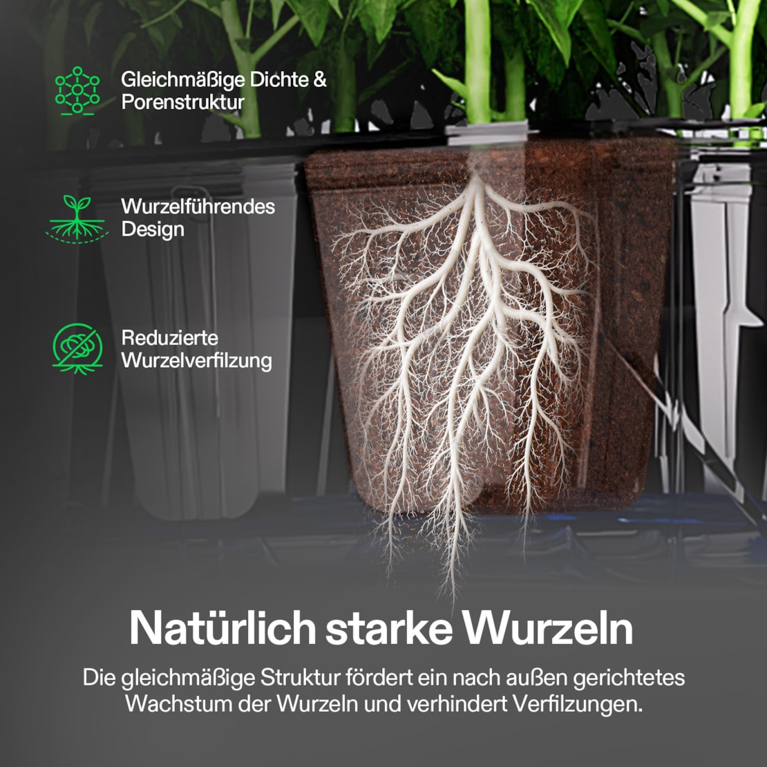 VIVOSUN Seed Rooters Anzuchtwürfel (40 Stück)