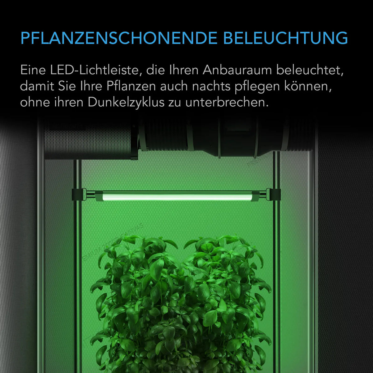 AC-Infinity-IONBEAM-G16-GREEN-Beleuchtung
