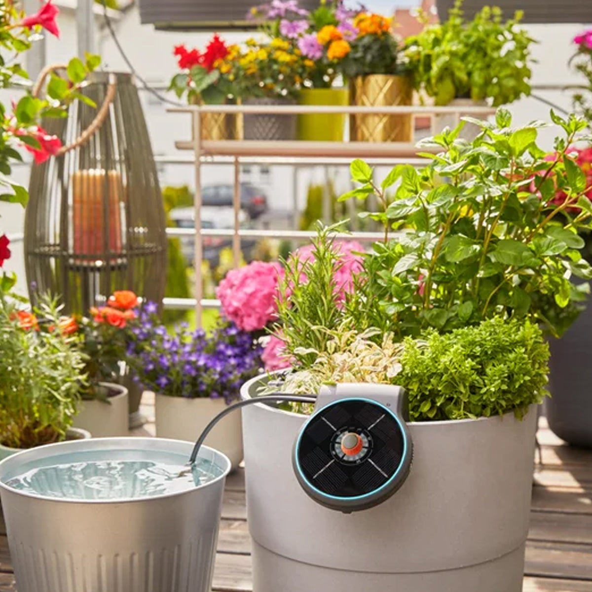 Solar-Bewaesserung-AquaBloom-Set-garten