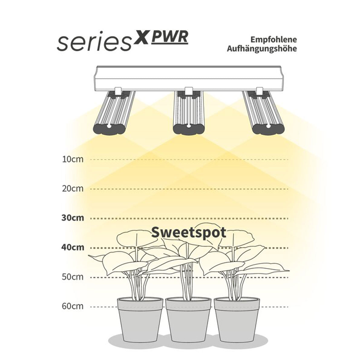 Eine Grafik, die den Sweetspot für die optimale Aufhängungshöhe der Lampe in Bezug auf die Pflanzenhöhe veranschaulicht.