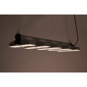 SANlight-EVO-5-100_angeschaltet