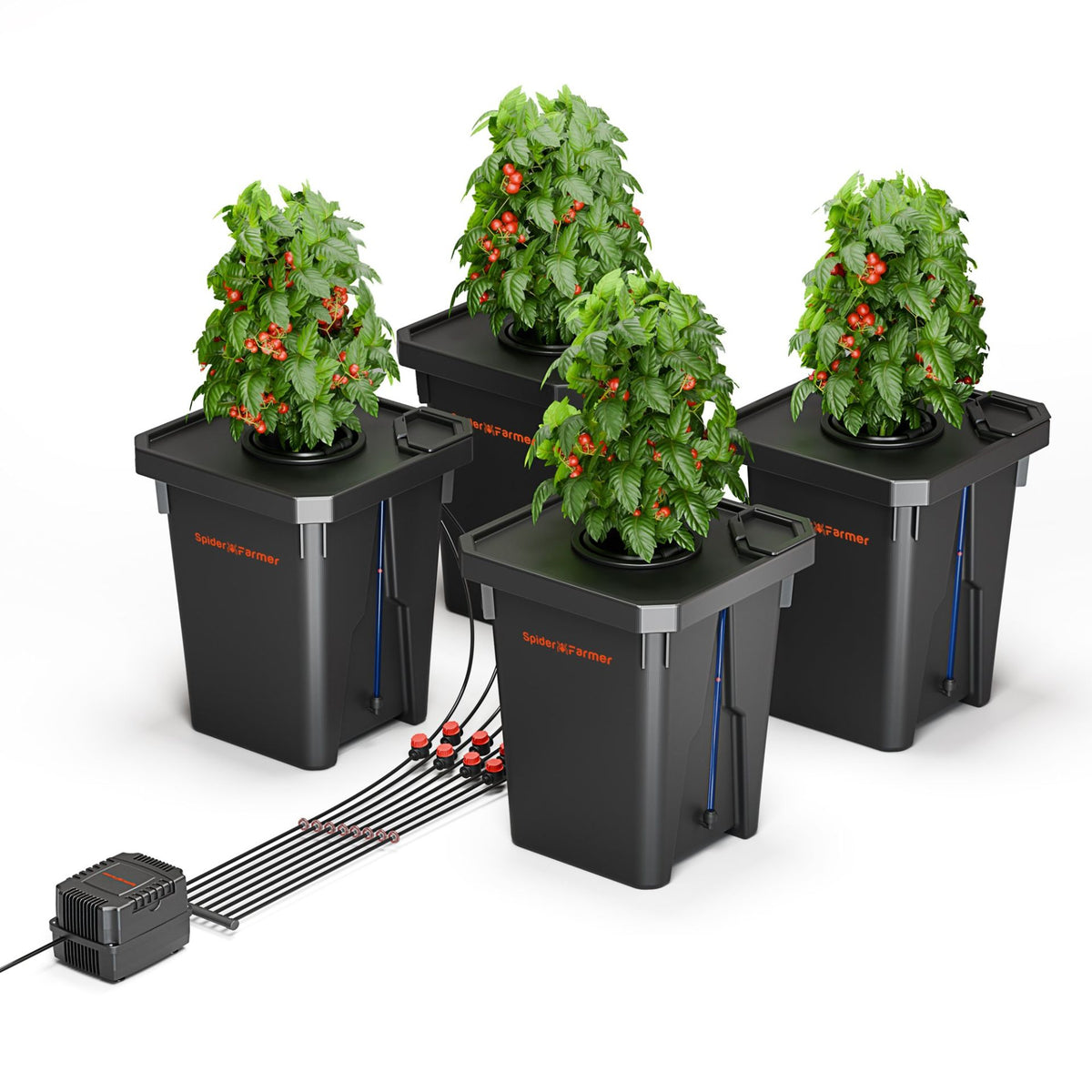 Spider Farmer Tiefwasserkultur DWC Hydroponik-System mit 4 Töpfen
