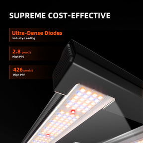 Spider Farmer G1500 EVO LED Grow Lampe 150W Vollspektrum