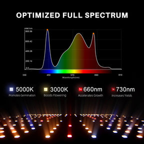 Spider Farmer SF2000 EVO LED 200 Watt