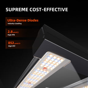 Spider Farmer G3000 EVO LED Grow Lampe 300W Vollspektrum