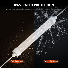 Spider-Farmer-Glow30-LED-Vollspektrum-4