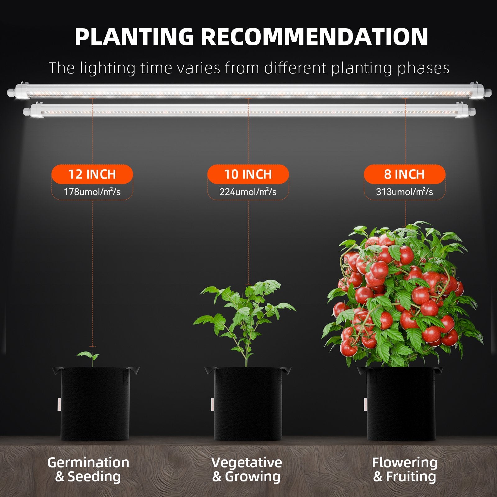 Spider-Farmer-Glow80-LED-Vollspektrum-5