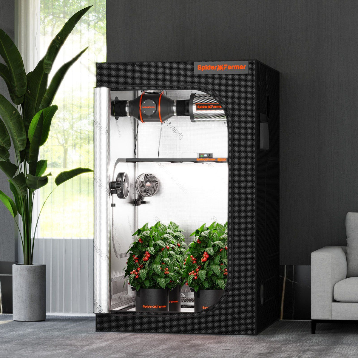 Spider Farmer Growbox 120x120x200 cm Indoor Growzelt