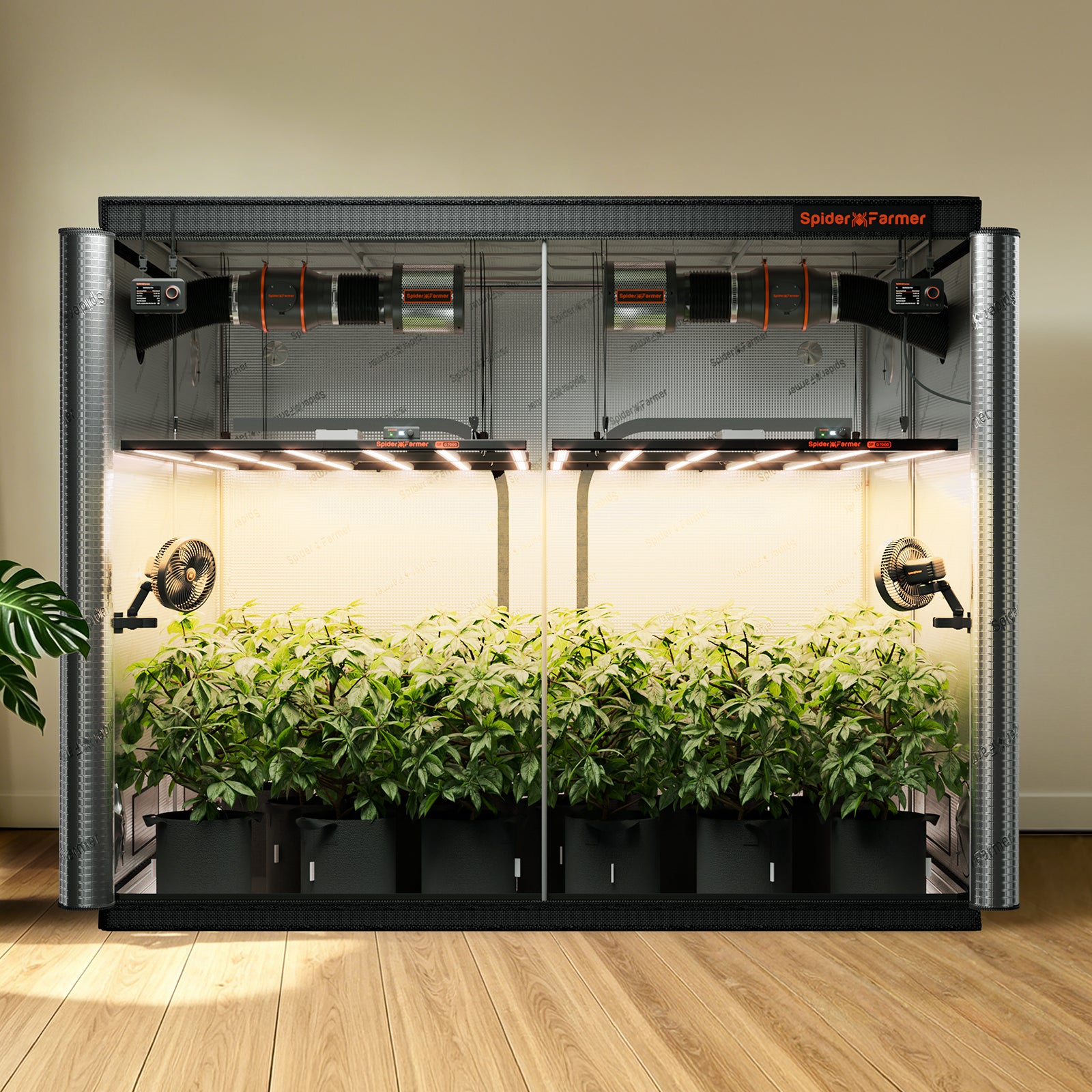 Spider Farmer Growbox 240x240x200 cm Indoor Growzelt XXL