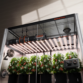 Spider Farmer Komplettset 300x150x200 cm Growbox Kit 2× G1000W LED mit GGS Controller