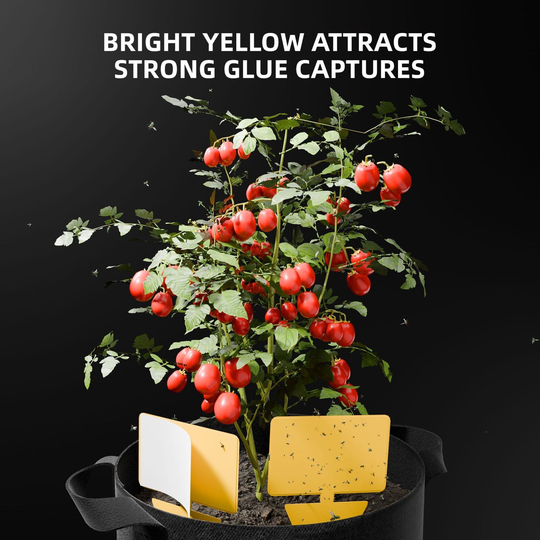 Spider Farmer Ernte Starterset 9-in-1