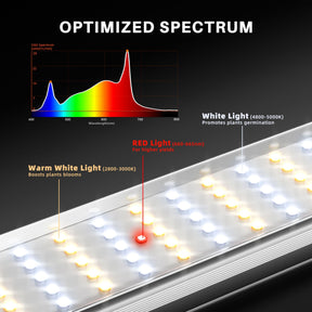 Spider Farmer SE1000W EVO LED Grow Lampe 1000W Vollspektrum