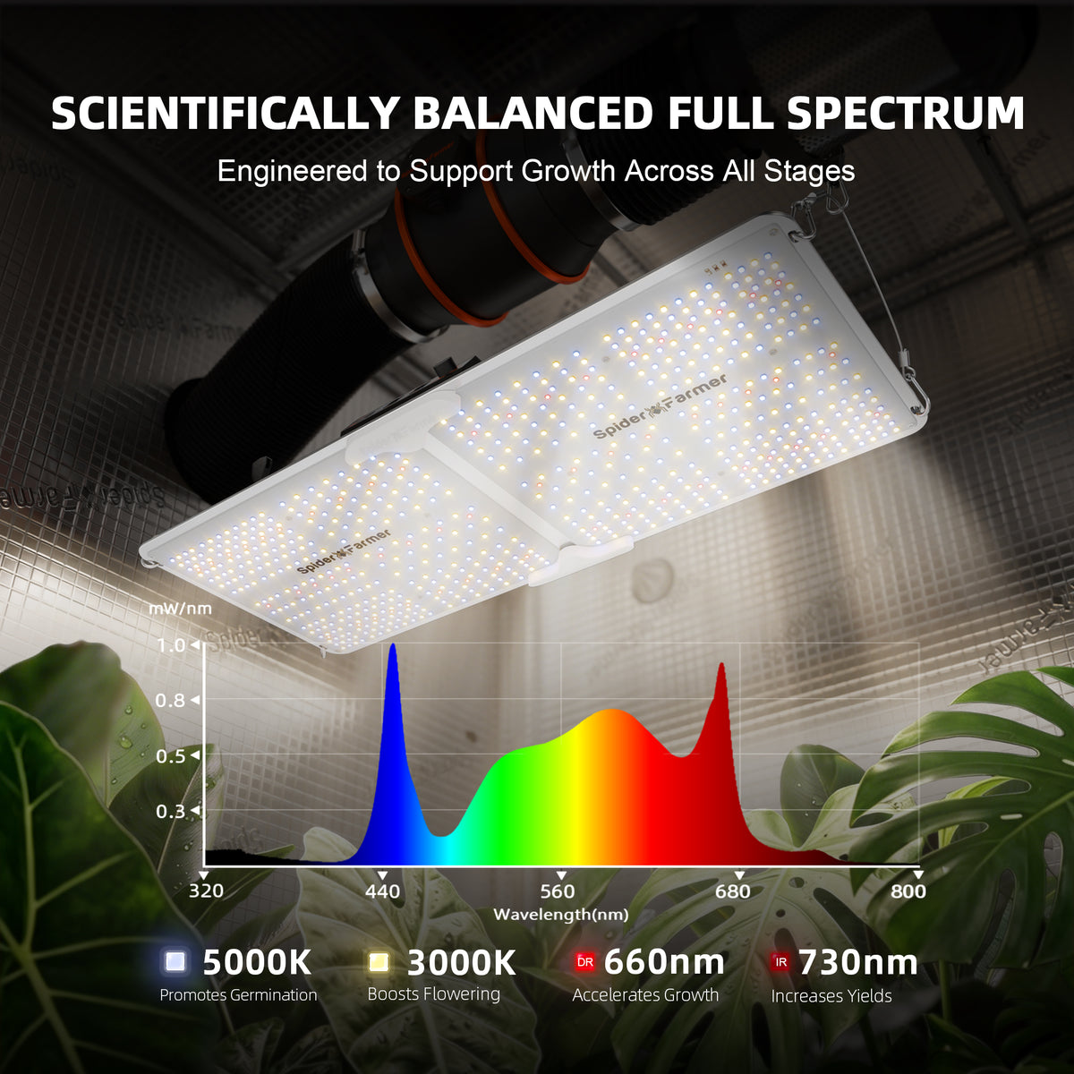 Spider Farmer SF2000 EVO LED 200 Watt
