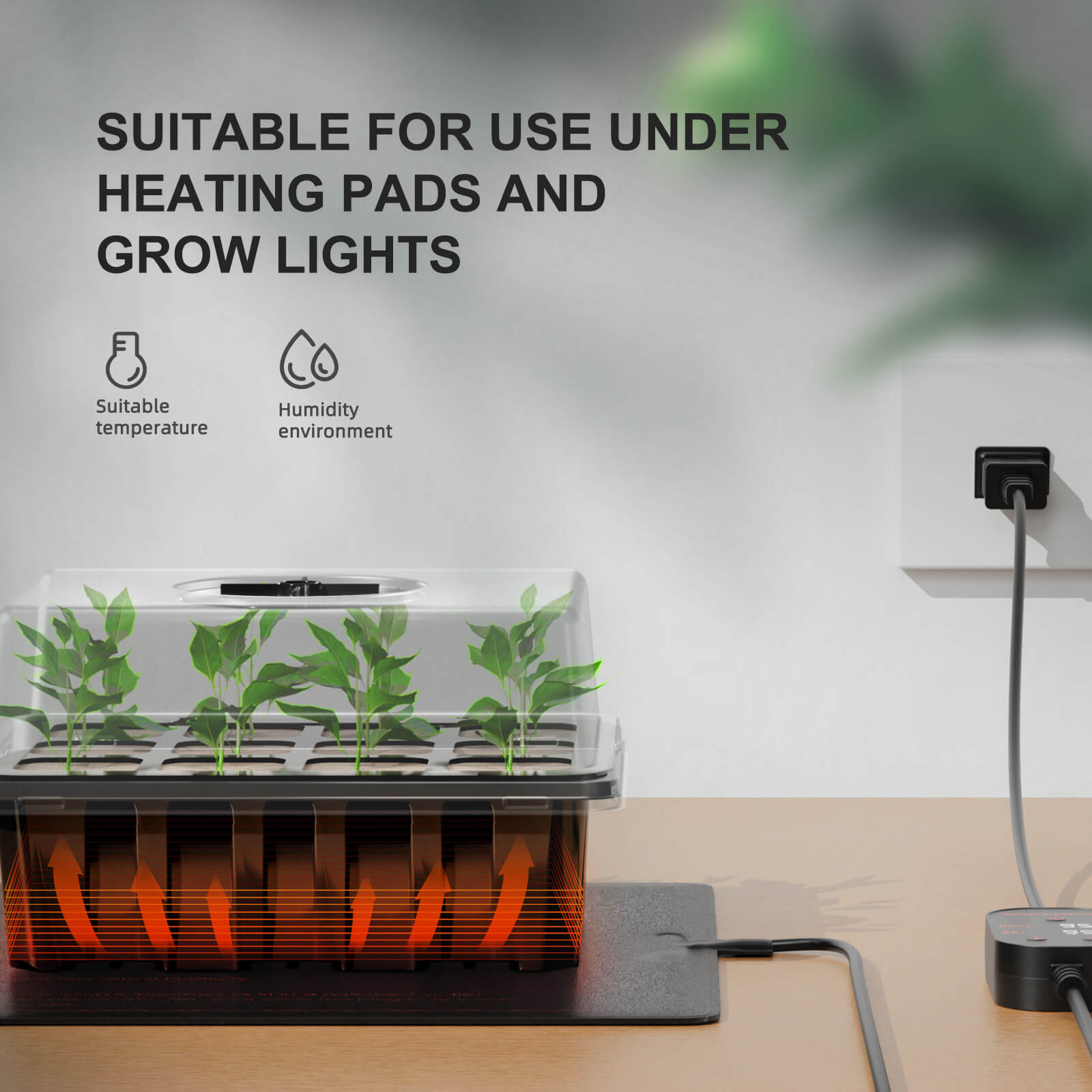 Spider-Farmer-Seed-Starater-Trays-Germination-Tray-05