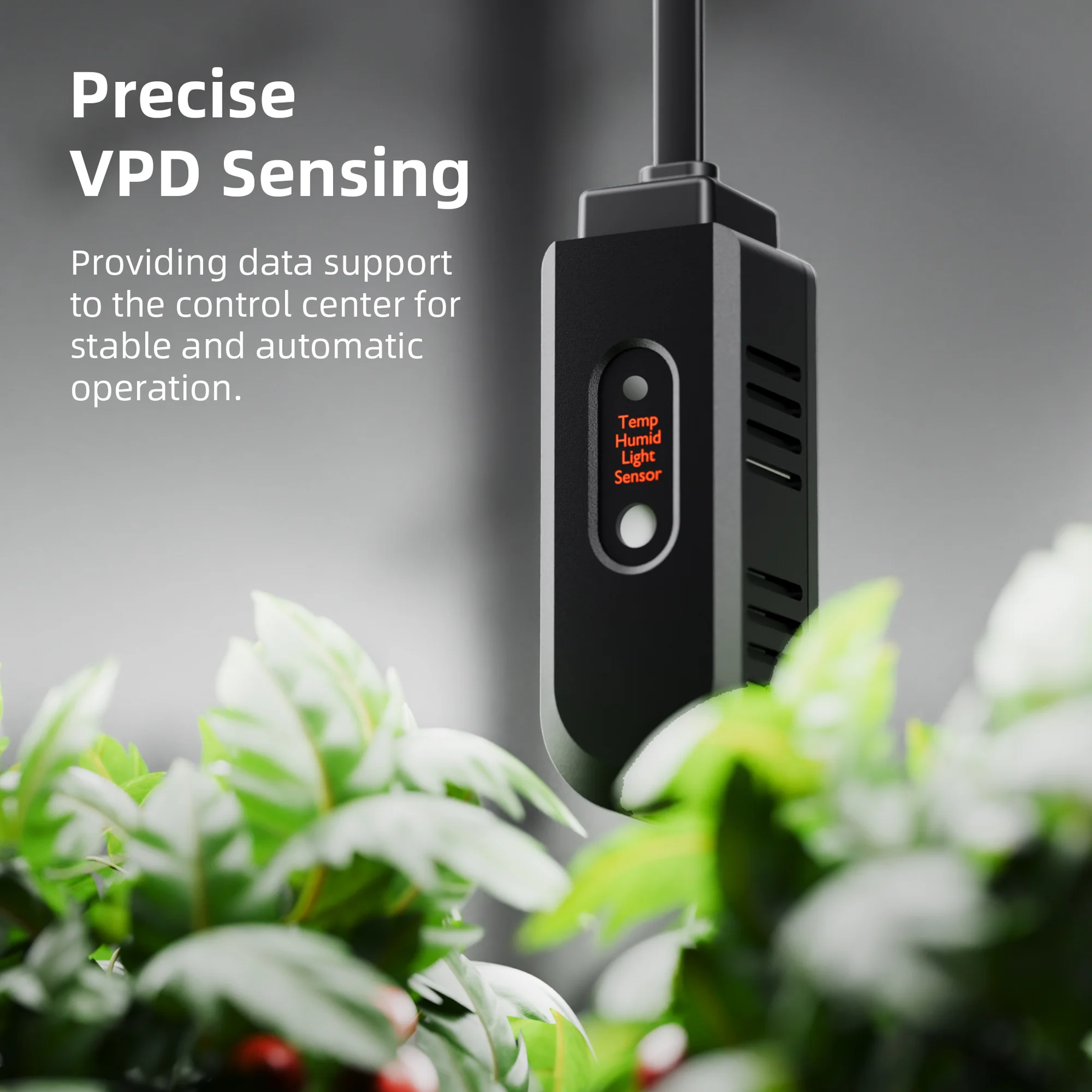 Spider-Farmer-humidifier5-4