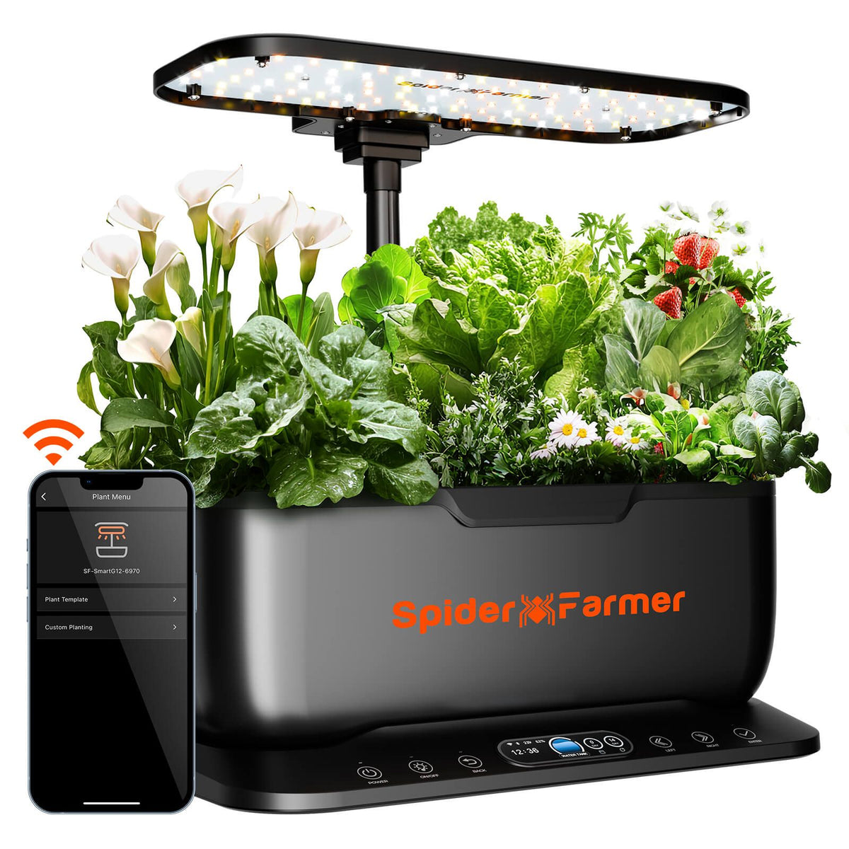 Spider Farmer Smart G12 Hydroponiksystem mit App-Steuerung