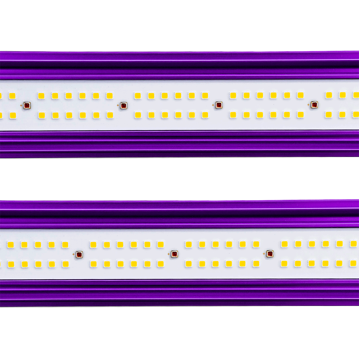 Lumatek ZEUS 465 W PRO LED 2.9 inkl. Lichtdimmer