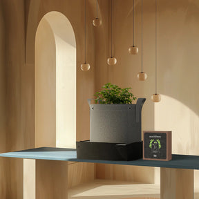 AC Infinity Coco Coir Starter Kit für 2 Pflanzen - Kokossubstrat