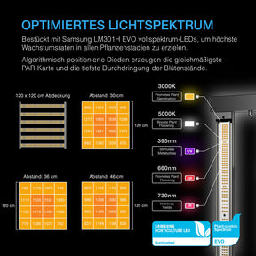AC Infinity Komplettset 120x120x200 cm 4 Pflanzen-Set mit AI+ Controller