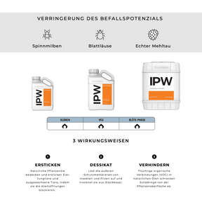 athena-ipw-groessen
