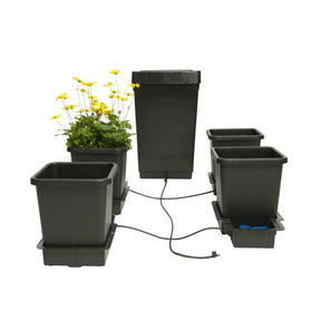 autopot-4pot-system-9mm bestehend aus 4 Töpfen, einem Wassertank und den Schlauchverbindungen. eine Pflanze mit gelben Blüten, steht in einem der Töpfe