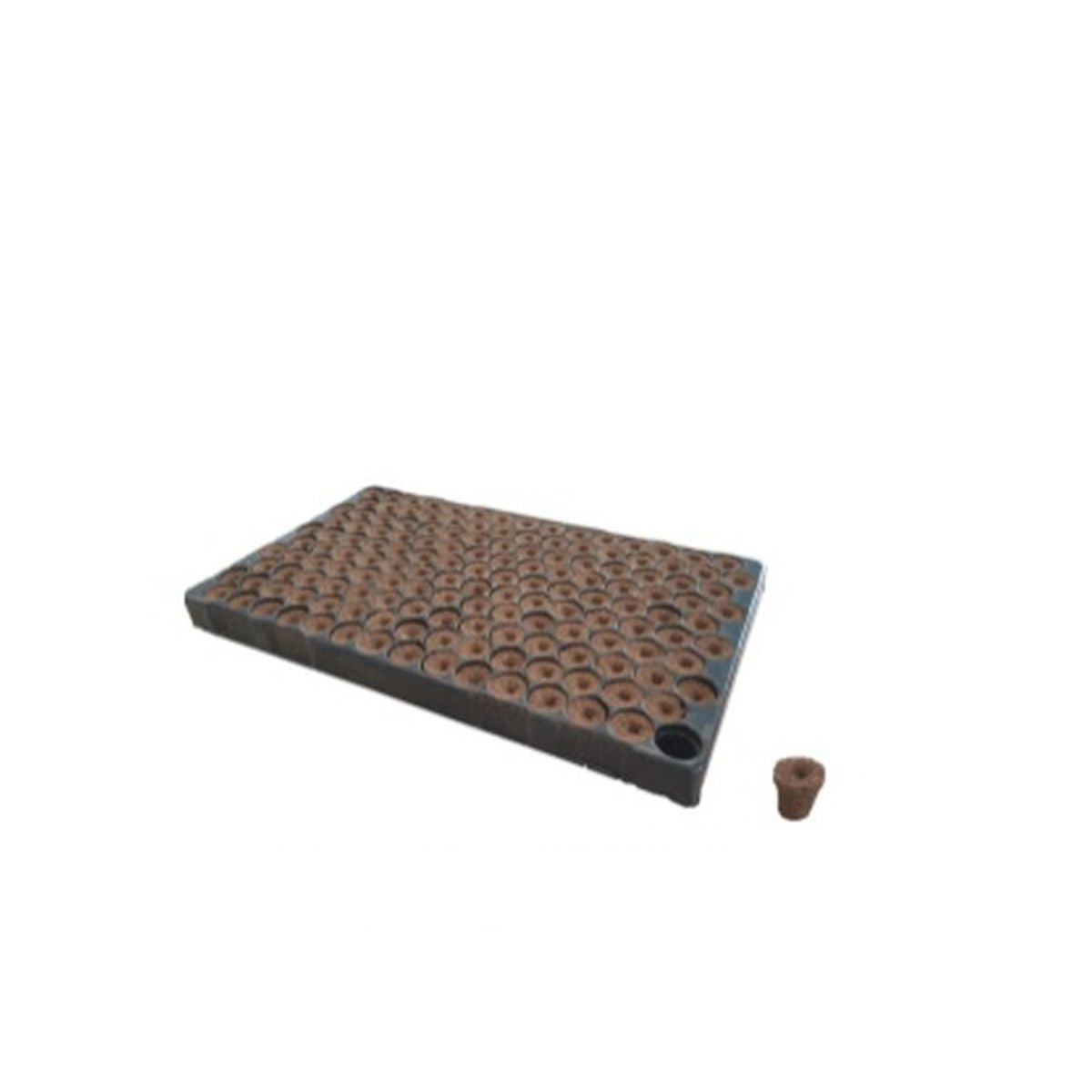 Eazy Plug Stecklingstray 150 Stück – CT150PF