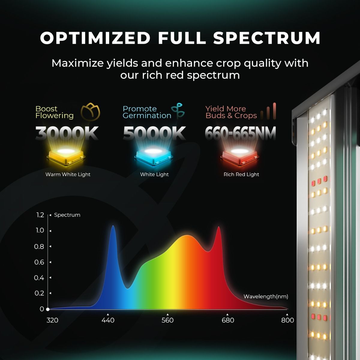 Mars Hydro Komplettset FC 1500-EVO 150W LED 80x80x160 cm