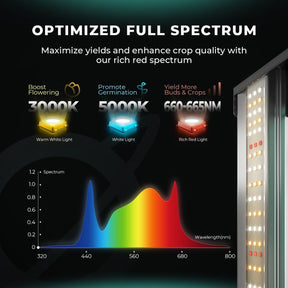 Mars Hydro Komplettset FC 1500-EVO 150W LED 80x80x160 cm