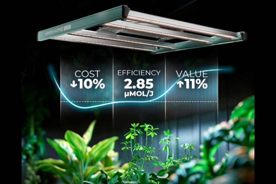 Mars Hydro Komplettset FC 3000 300W LED 100x100x180 cm
