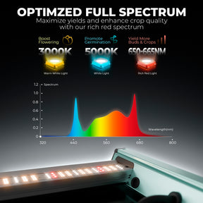 Mars Hydro Komplettset FC 3000 300W LED 100x100x180 cm
