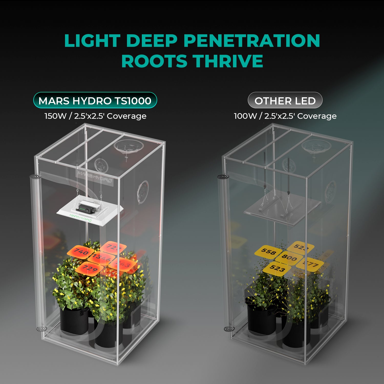 Mars Hydro Komplettset TS 1000 150W LED 80x80x160 cm