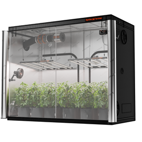 Spider Farmer Growbox 240x120x200 cm Indoor Growzelt