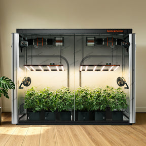 Spider Farmer Growbox 240x120x200 cm Indoor Growzelt