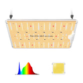 Spider Farmer SF1000D LED 100 Watt
